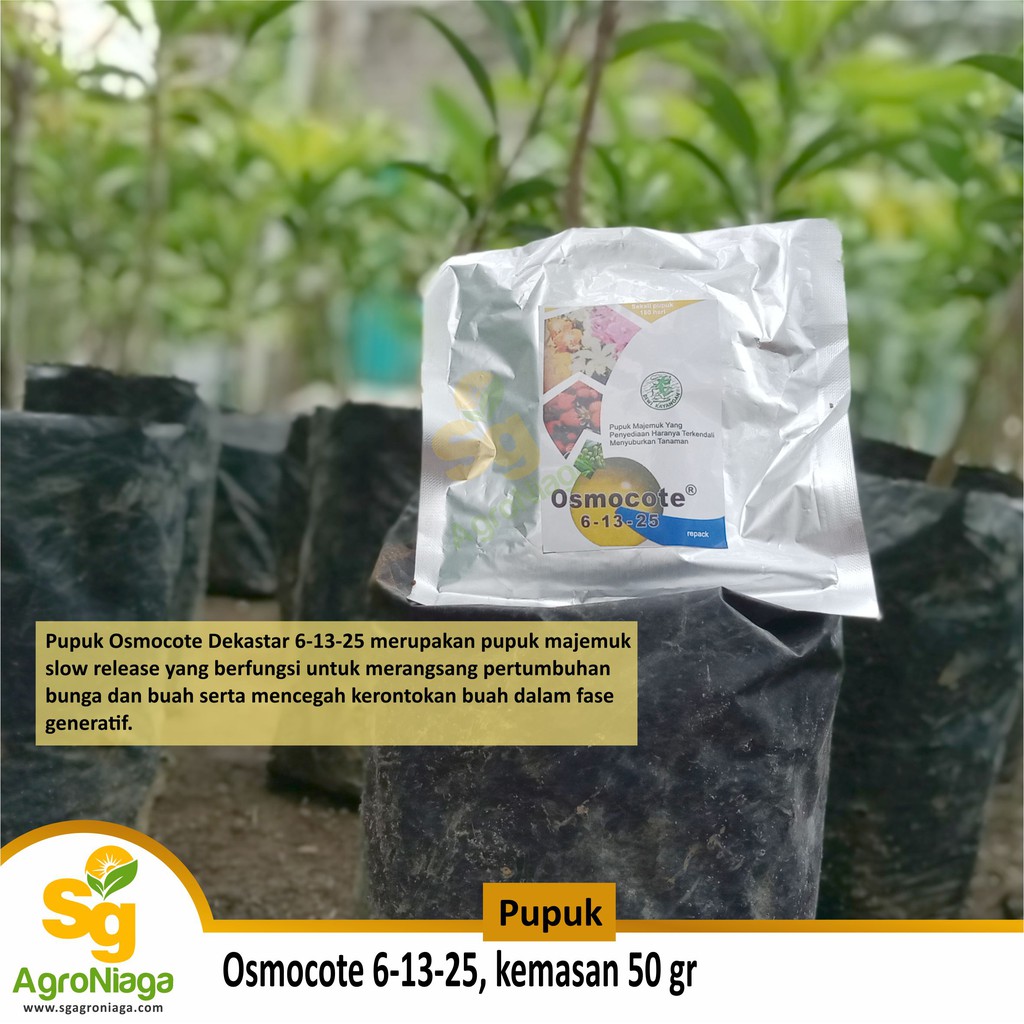Jual Osmocote Dekastar 6 13 25 Pupuk Bunga Dan Buah Kemasan 50 G