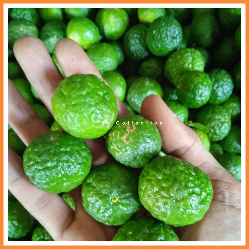 Jual Jeruk Limo Jeruk Limau 1kg Fresh Shopee Indonesia