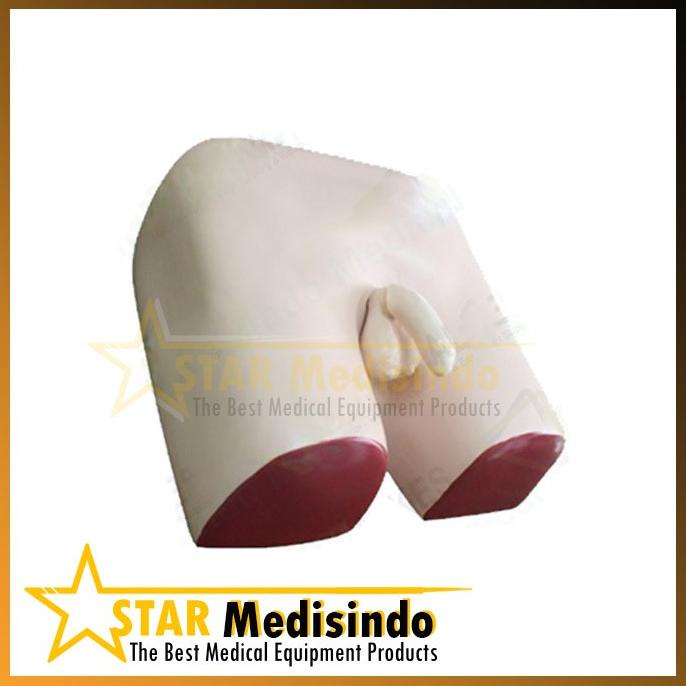 Jual Manekin Panggul Sirkum | Manikin Panggul | Phantom Peraga Lokal ...