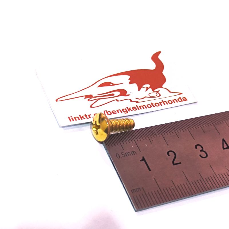 Jual Screw Tapping 4x12 Baut Cacing Cover Beat Vario Scoopy Spacy Warna ...