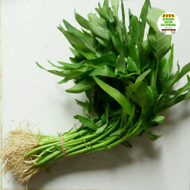 Jual Kangkung Akar 1 ikat - Gerobak Sayur Palembang | Shopee Indonesia