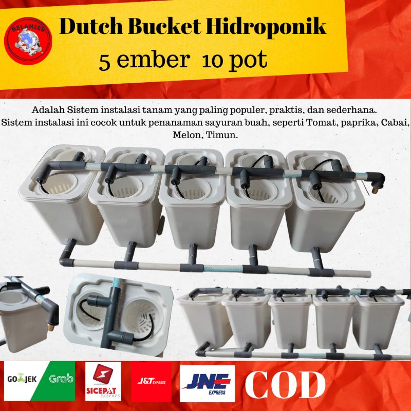 Jual DUTCH BUCKET HIDROPONIK SET 5 EMBER 10 POT HIDROPONIK Shopee Indonesia