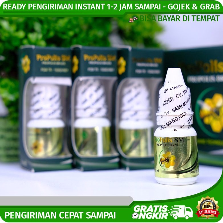 Jual Obat Gatal, Alergi, Bentol, Biduran Bagus Dengan Propolis SM ...