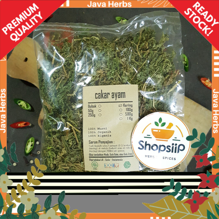 Jual daun cakar ayam paku rane rumput solo cemara kipas gunung kering ...