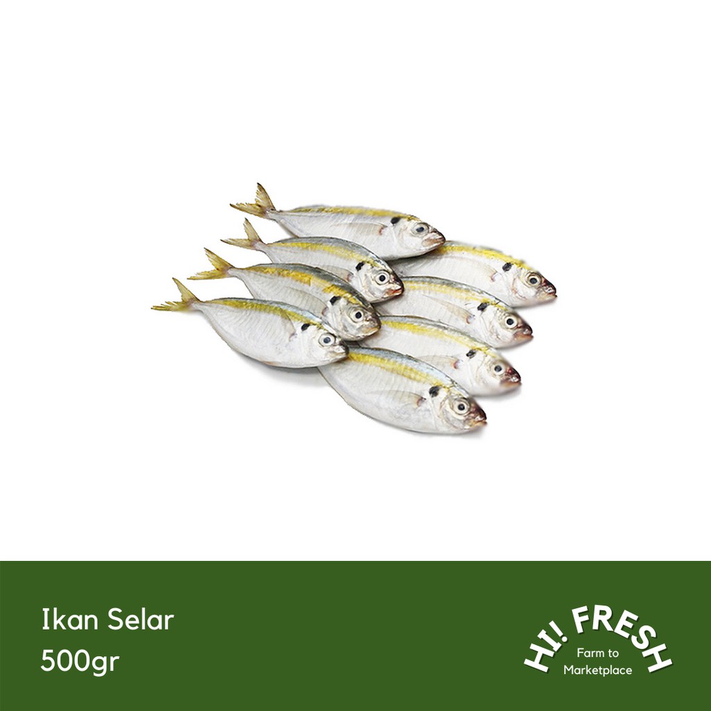 Jual Ikan Selar 500gr | Shopee Indonesia