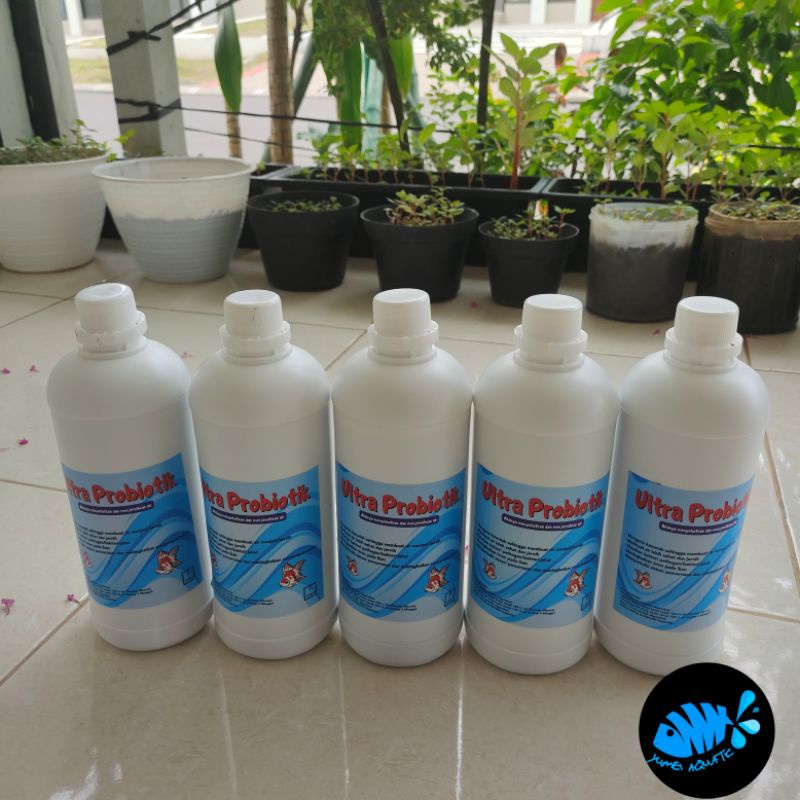 Jual Ultra Probiotikbakteri Baikpengurai Amoniak 1 Liter Shopee