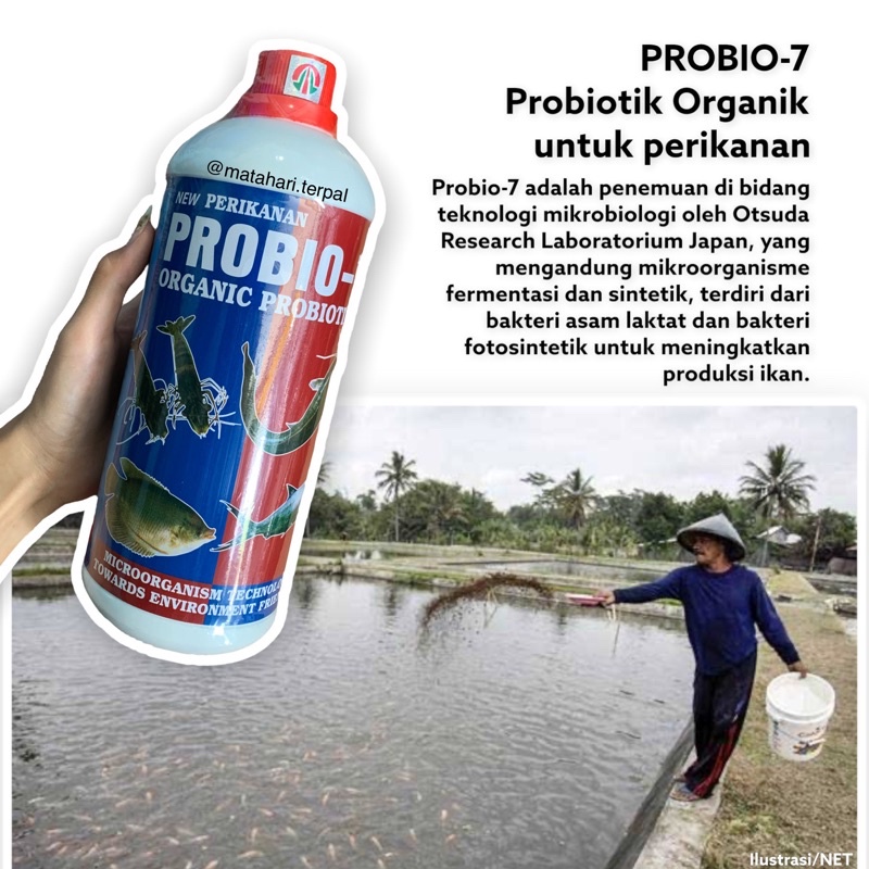 Jual PROBIO-7 Probiotik Organik Untuk Perikanan 1L | Memacuh ...