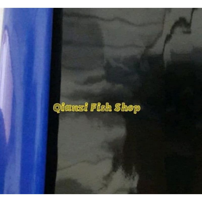Jual Background biru hitam bolak balik tinggi 30 cm per 1 meter