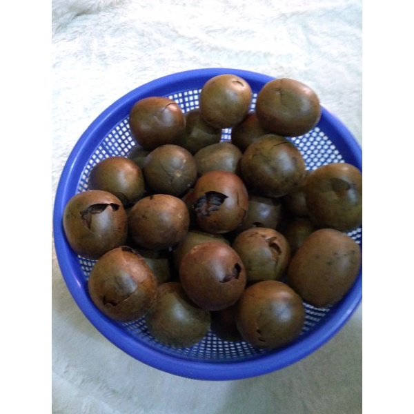Jual Buah Lo Han Kuo Yang Pecah Perbiji | Shopee Indonesia