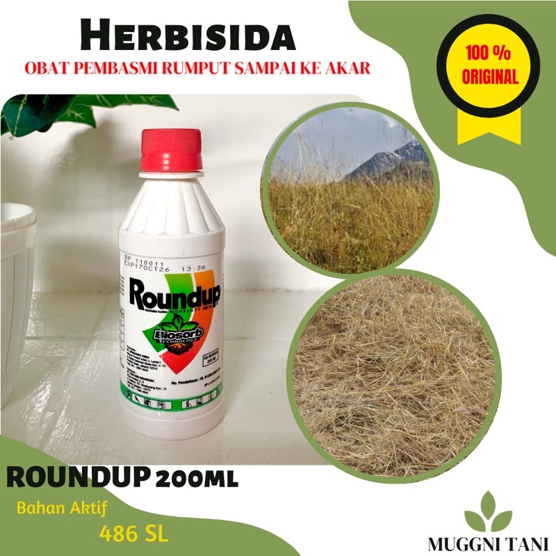 Jual ROUNDUP 200ML 486 SL - HERBISIDA PEMBASMI RUMPUT SAMPAI KE AKAR ...
