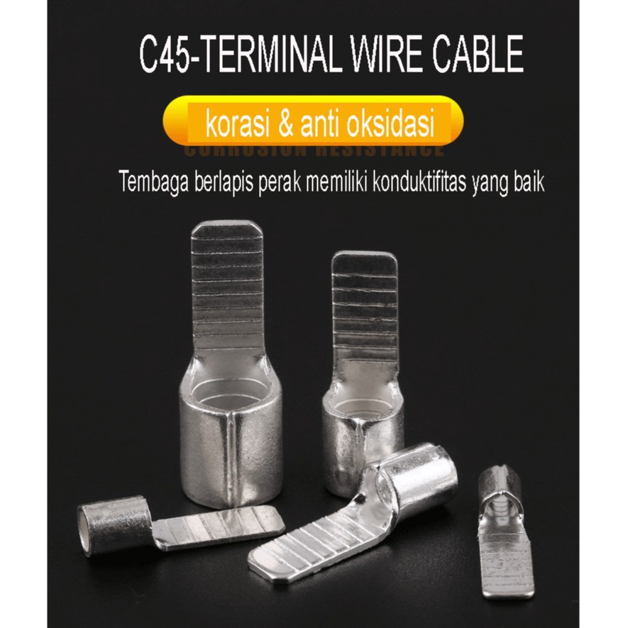 Jual Terminal Wire Cable Connector NonIsolatated C45 Skun Gepeng Pin