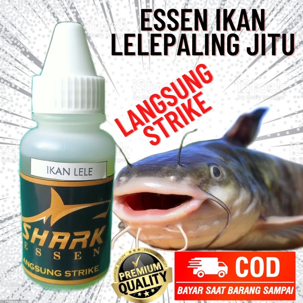 Jual Essen Ikan Lele Lomba Dan Harian Shopee Indonesia