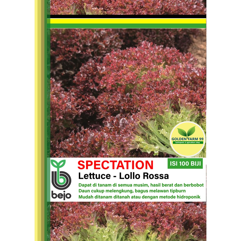 Jual Benih Lettuce Lollo Rossa SPECTATION Bejo Seed - Import | Shopee ...