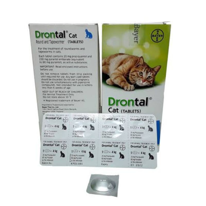 Jual Drontal Cat Tablet (1 Tablet) | Shopee Indonesia
