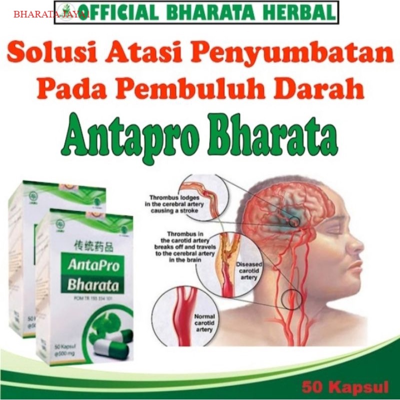 Jual Obat Penyumbatan Pembuluh Darah Obat Pengencer Darah Kental