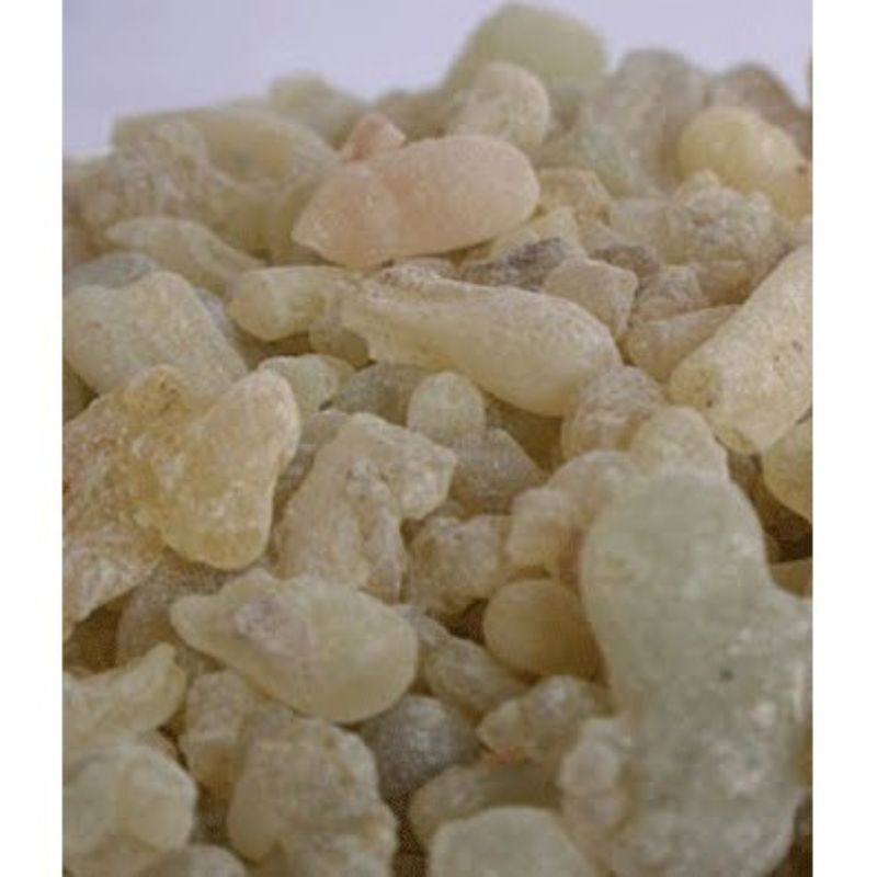 Jual Luban Kemenyan Getah Arab Gum Arabic Frankincense Pengharum ...