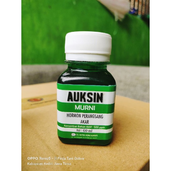 Jual Auksin Murni 60ml Hormon Perangsang Akar Original | Shopee Indonesia