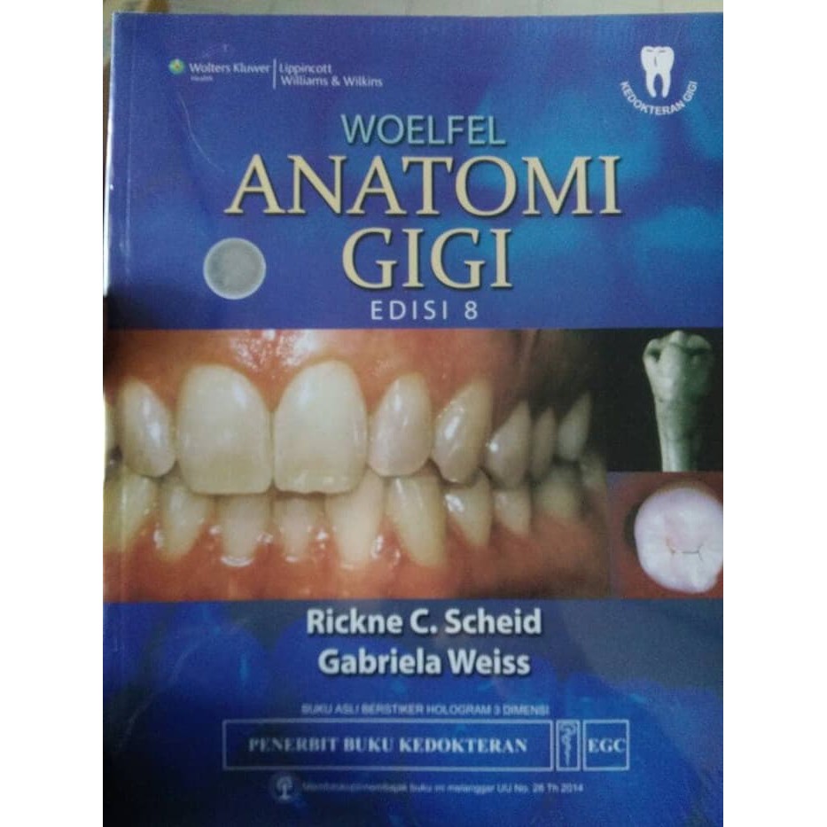 Jual Woelfel Anatomi Gigi Edisi 8 Original Full Colour Rickne C Scheid ...