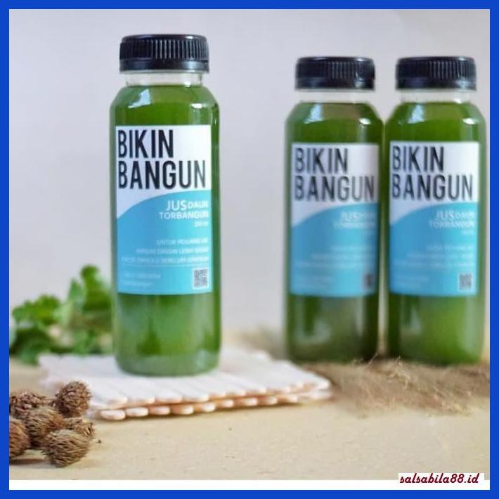 Jual Asi Booster Jus Torbangun Daun Bangun Bangun Penambah Asi Shopee Indonesia 5082