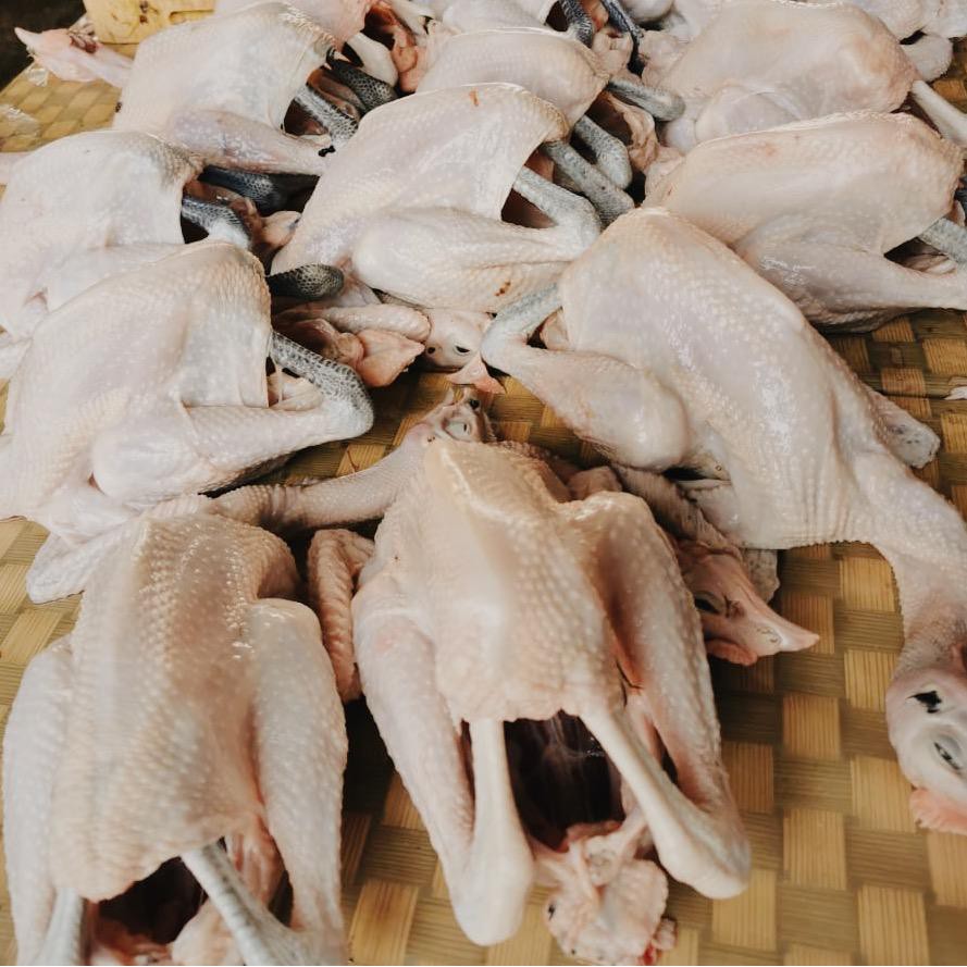 Jual Ayam Kampung Fresh 1 Kg Shopee Indonesia