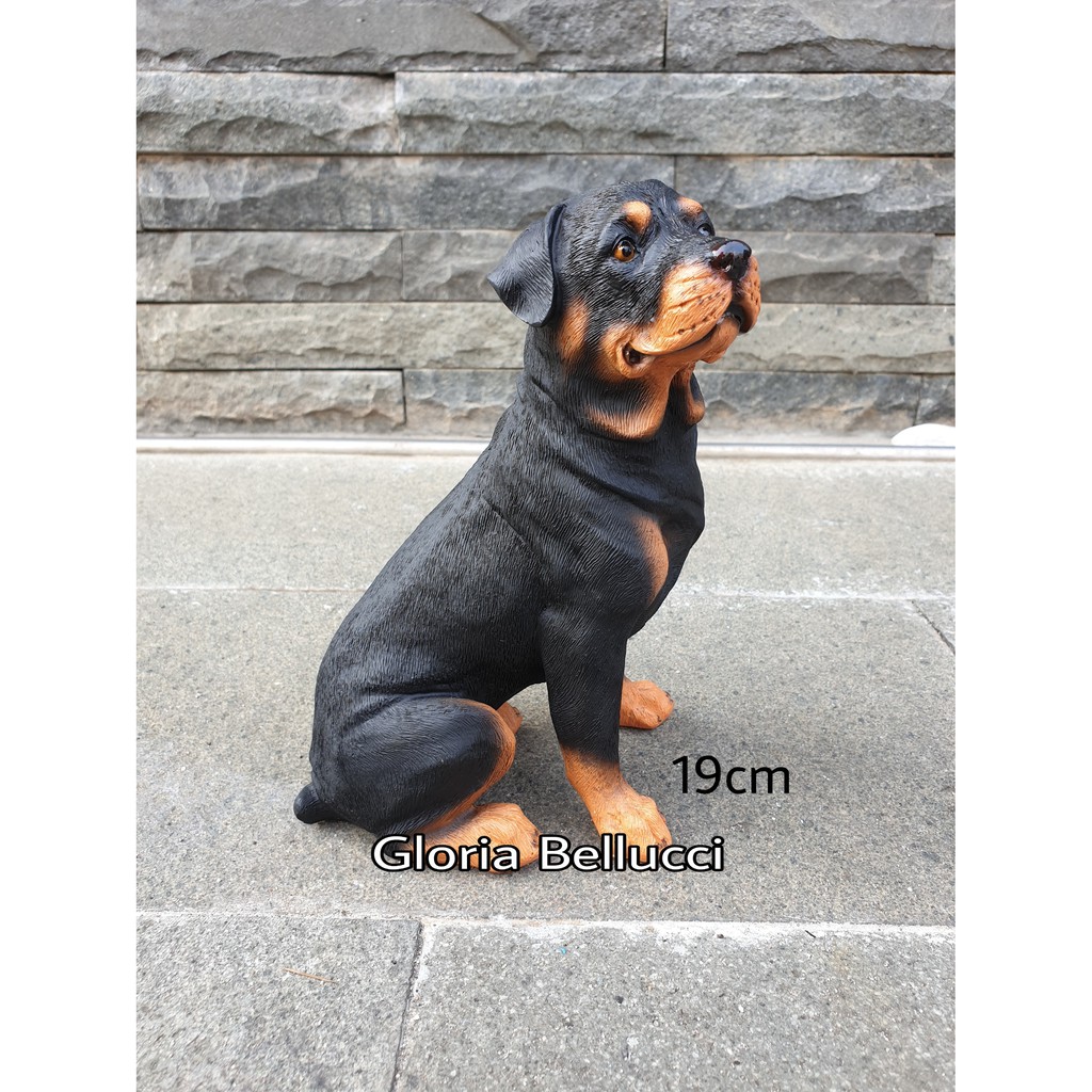 Jual Anjing Rottweiler Terlengkap & Harga Terbaru Juli 2026 | Shopee ...