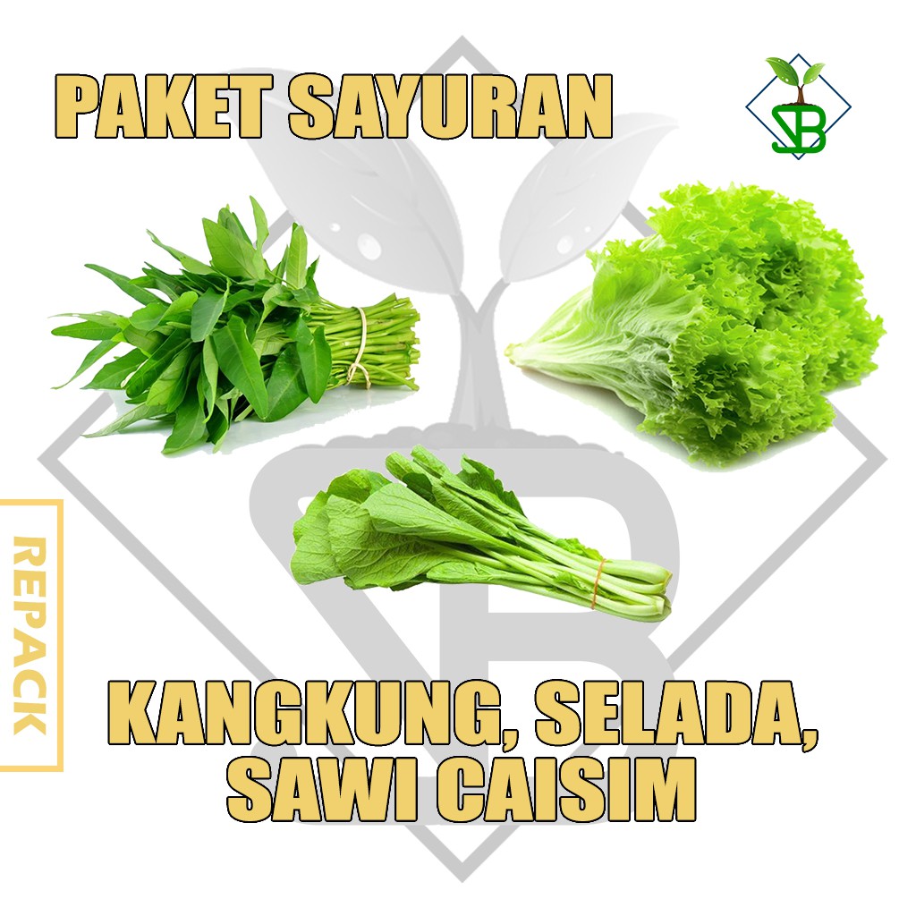 Jual Paket Benih Sayuran Hijau Kangkung Sawi Selada Shopee Indonesia