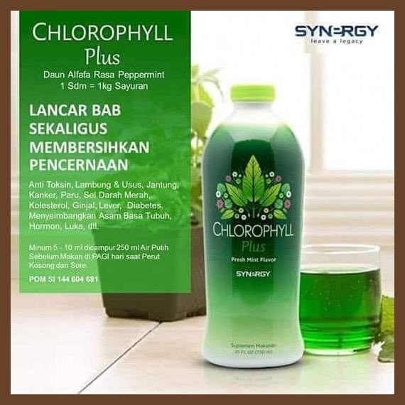 Jual Chlorophyll + Colostrum Obat Vertigo Herbal Maxi Pack Shopee