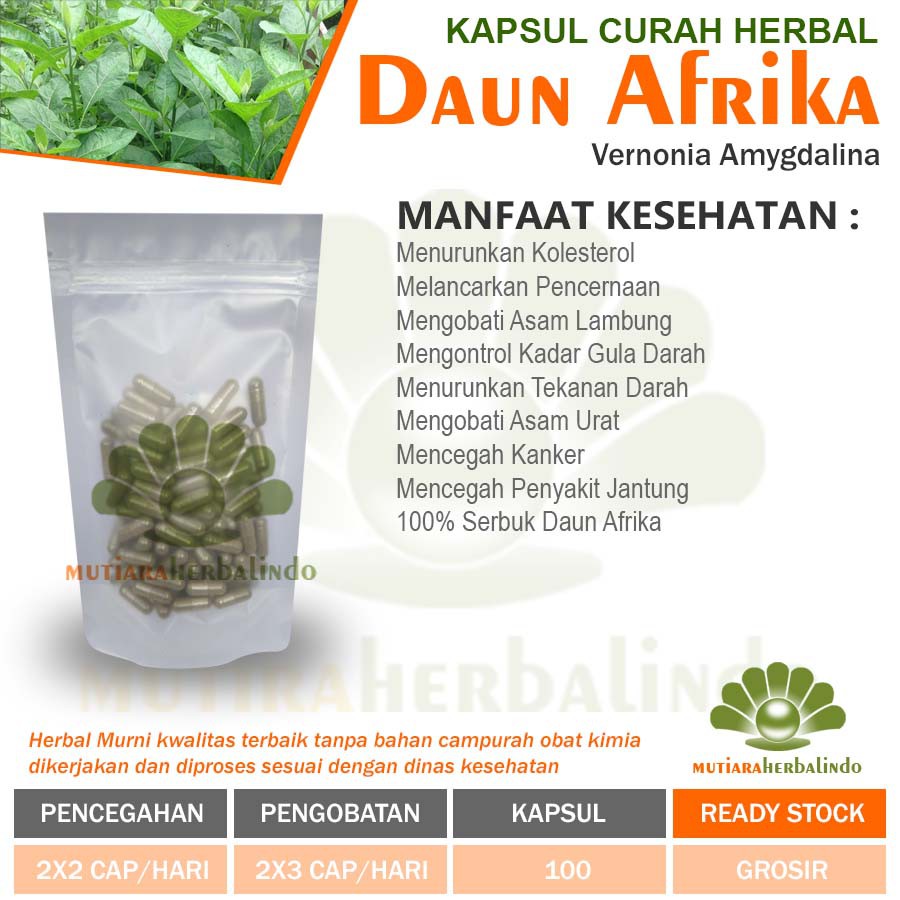 DAUN AFRIKA 100 Kapsul Herbal Asam Lambung Kesuburan Asam Urat Jerawat