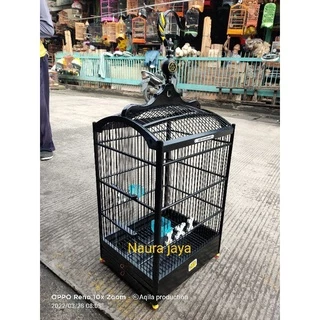 Oriq eshakda ulkan qora xoroz Oriq eshakda ulkan qora xoroz