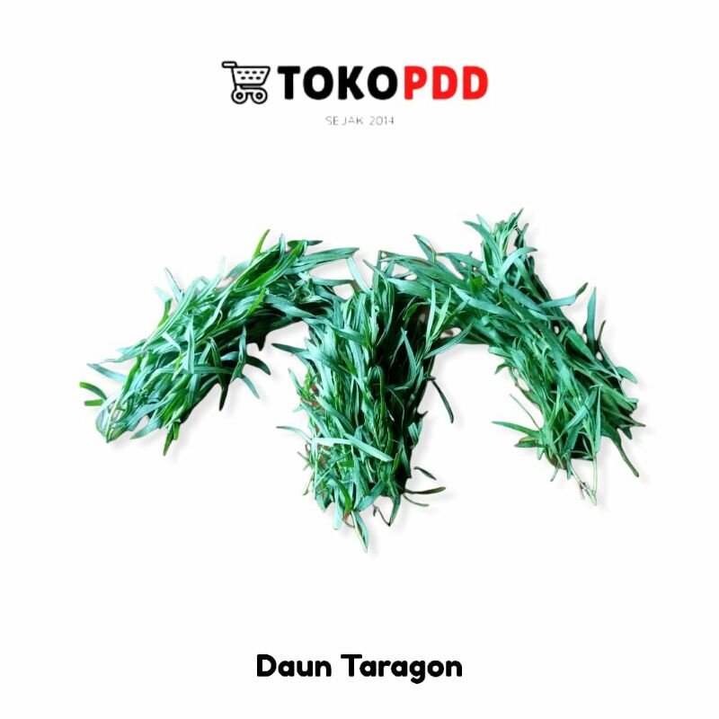 Jual Daun Tarragon SegarFRESH TARRAGON 250 Gram Toko PDD Shopee