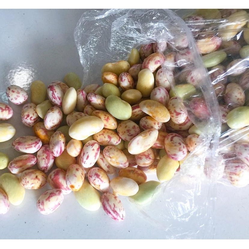 Jual Kacang Endul Merah Segar | Shopee Indonesia