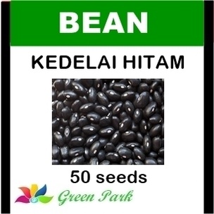 Jual Benih Biji Kedelai Hitam Black Soybean Pack - GP | Shopee Indonesia