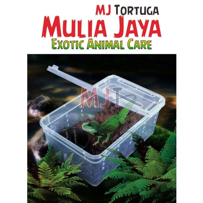 Jual Feeding Box S2 MINI Kotak Reptil Tarantula Ular PACMAN Gecko Kadal ...