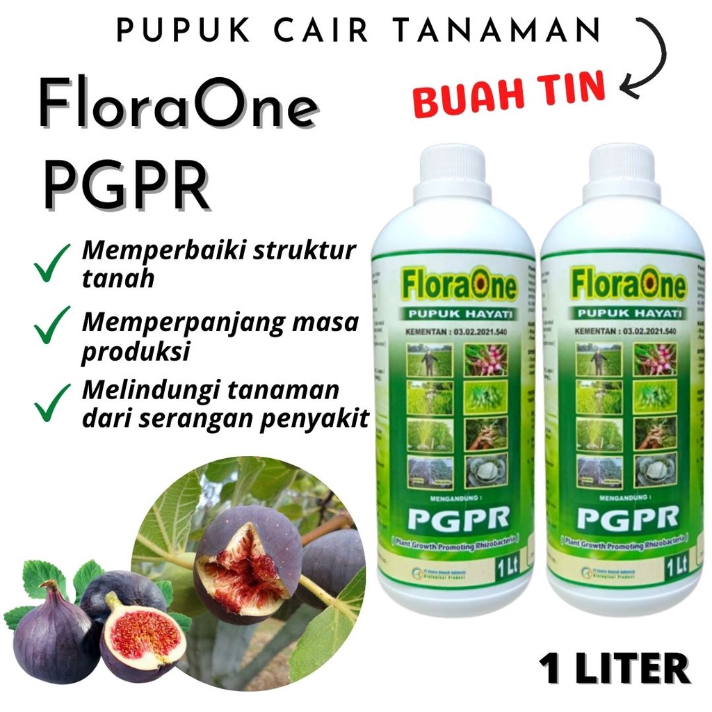 Jual Pupuk Organik Pelebat Untuk Booster Buah Tin, Pupuk PGPR Rhizobium ...