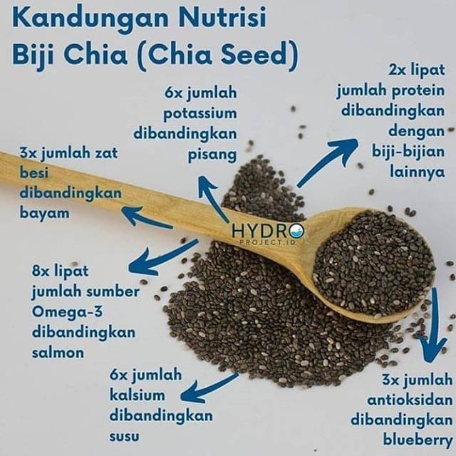 Jual MURAH CHIA SEEDS UNTUK DIET 1KG ORGANIK CIA SEED ORGANIC HITAM ...
