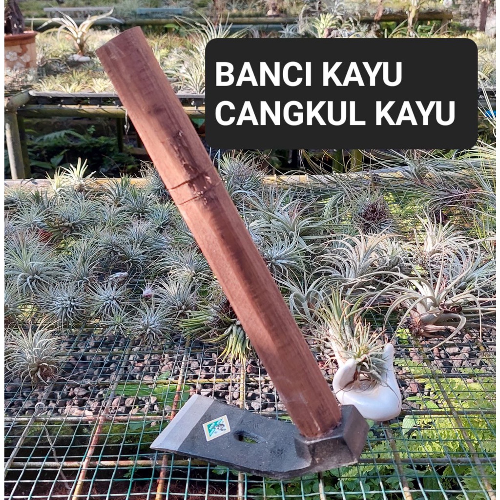 Jual BANCI GAGANG KAYU Cangkul Kayu Petel Pacul Kayu Petel Rimbas Banci ...