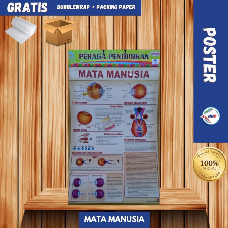 Jual POSTER EDUKASI MATA MANUSIA | Shopee Indonesia