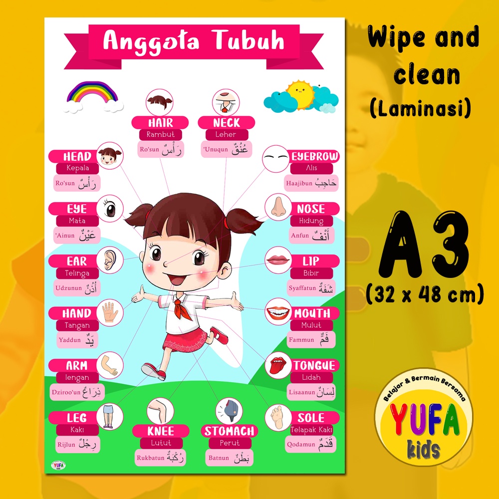 Jual 114 poster mengenal anggota tubuh - Poster Edukasi Anak - Poster ...
