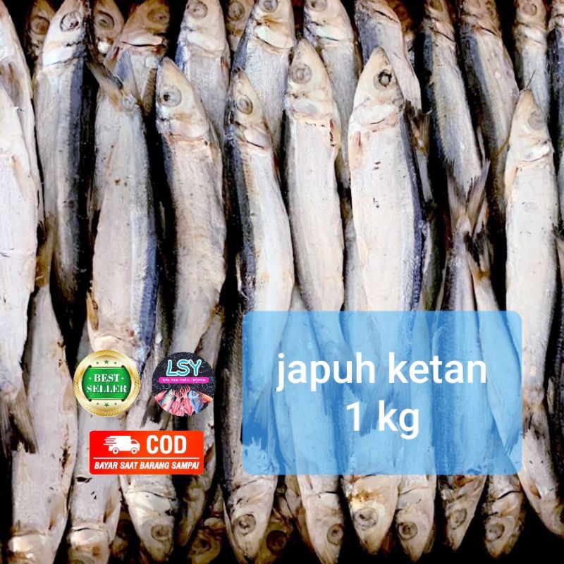 Jual ikan asin japuh ketan 1000gram / 1 kg | Shopee Indonesia