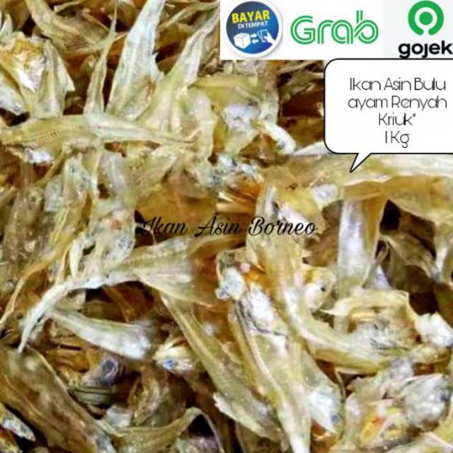 Jual Ikan Asin Bulu Ayam Super 1000 Gram | Shopee Indonesia