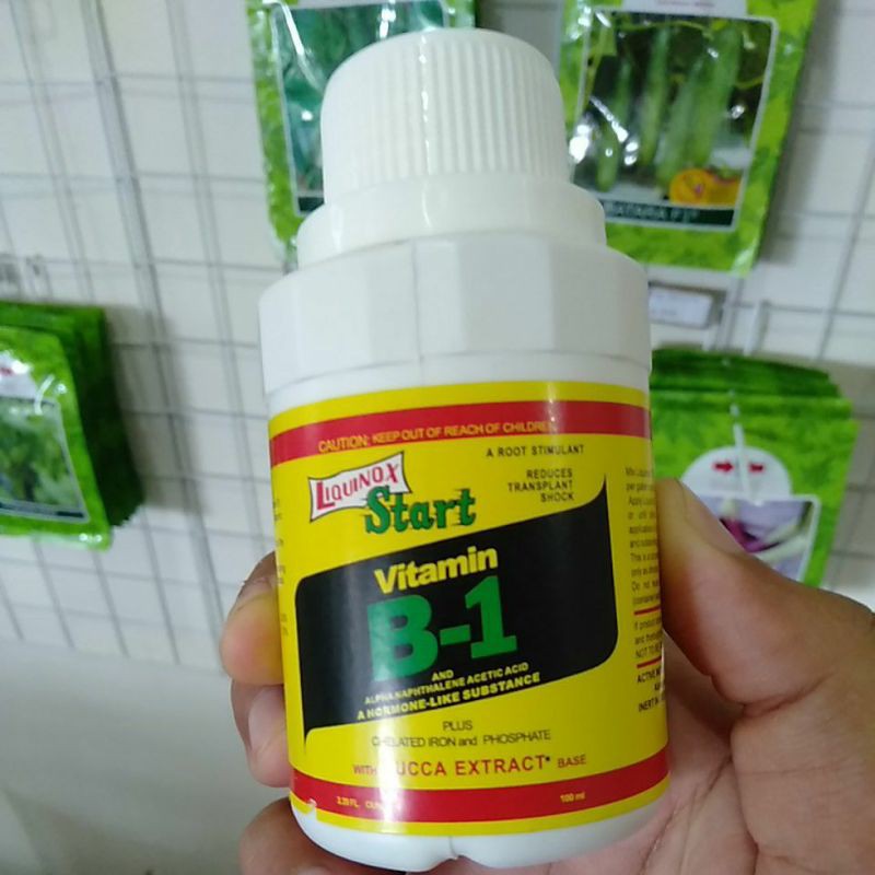 Jual Vitamin B1 100 Ml (1 Dos Isi 40 Botol) | Shopee Indonesia