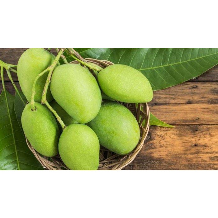 Jual Mangga muda 1 kg/ mangga rujak/ rujak / buah mangga/buah segar ...