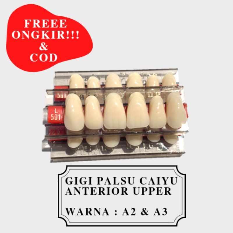 Jual Dental Gigi Palsu Caiyu Yuying Depan Atas Papan Shopee Indonesia