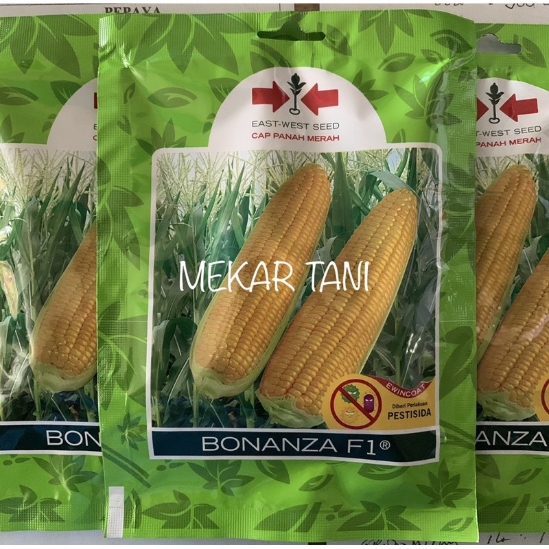 Jual Benih Jagung Manis Bonanza F1 200 Butir (Small Pouch) | Shopee ...