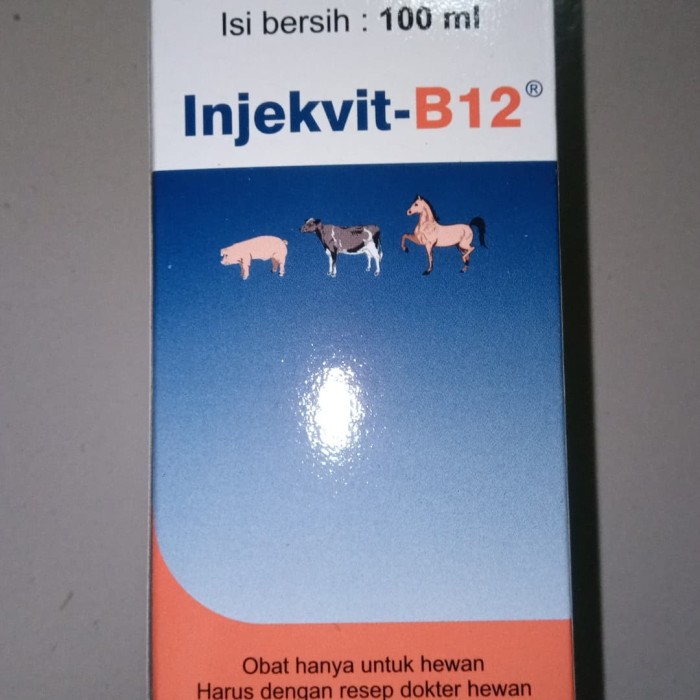 Jual Injeksi Vitamin B12 100ml medion daya tahan tubuh obat hewan ...