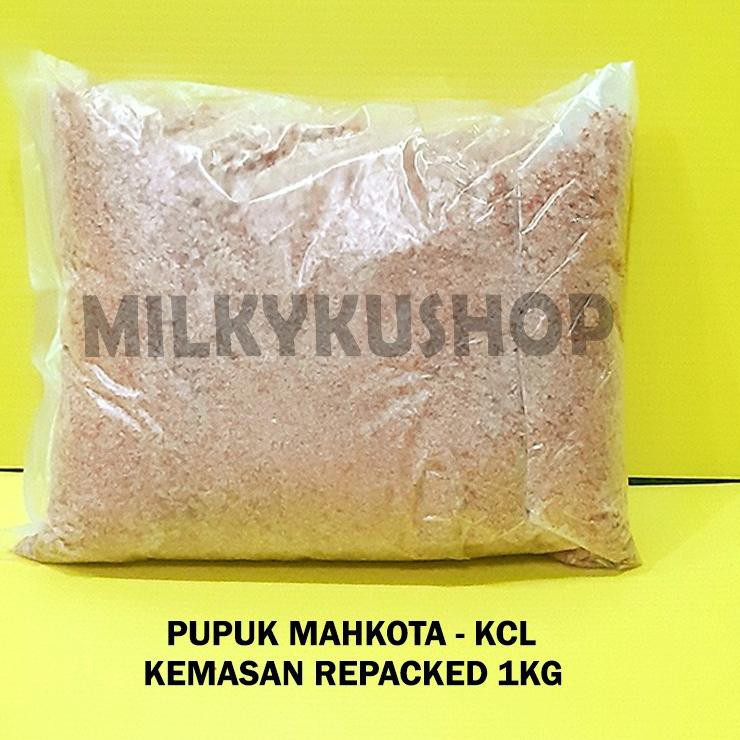 Jual Pupuk Kcl Mahkota Origin Canada Muriate Of Potash Mop Repack Kg