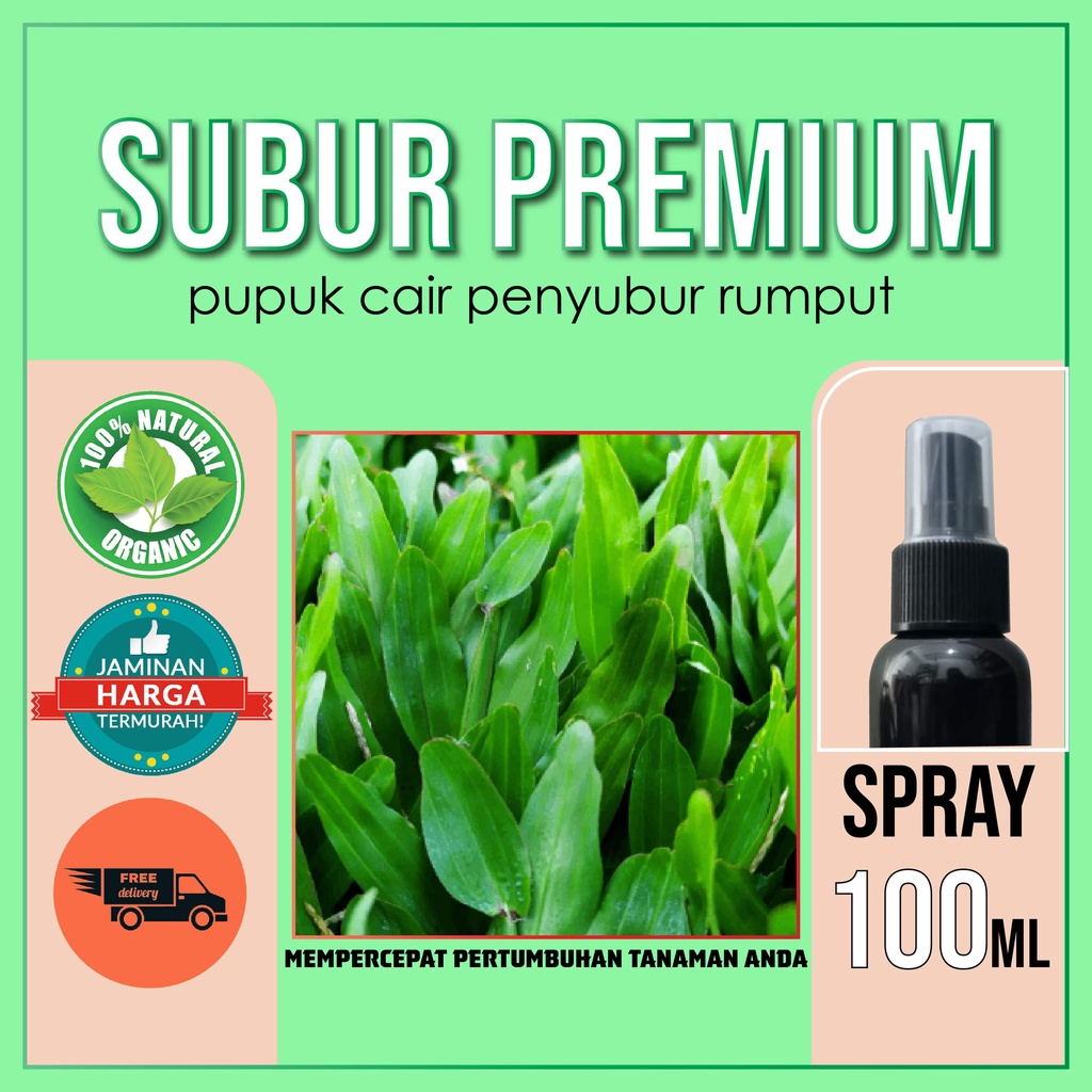 Jual SPRAY SEMPROT PENYUBUR RUMPUT 100 ML SUBUR Cairan Obat Cair ...