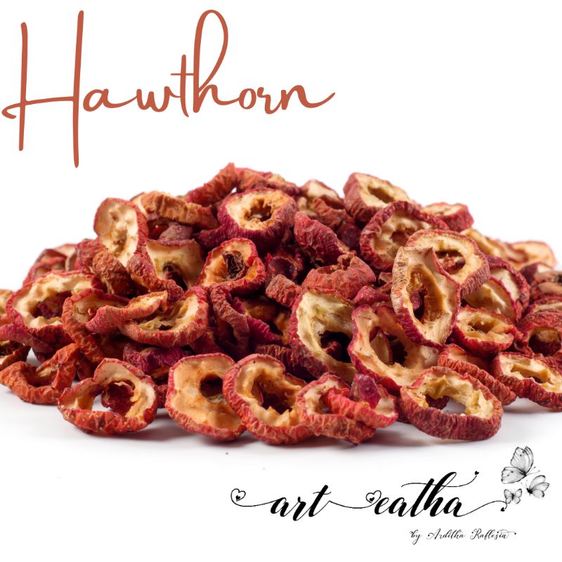 Jual Premium dried hawthorn/Buah hawthorn kering iris premium/TEH ...