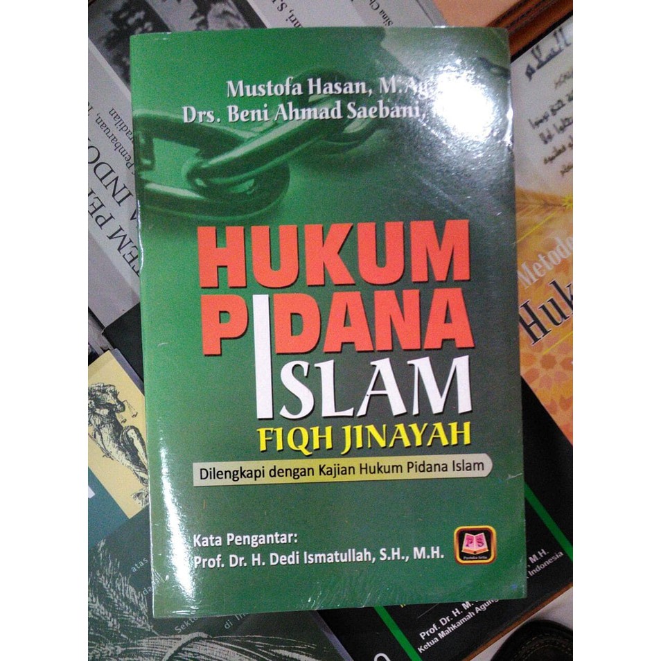 Jual BUKU ORIGINAL HUKUM PIDANA ISLAM FIQH JINAYAH - MUSTOFA HASAN ...