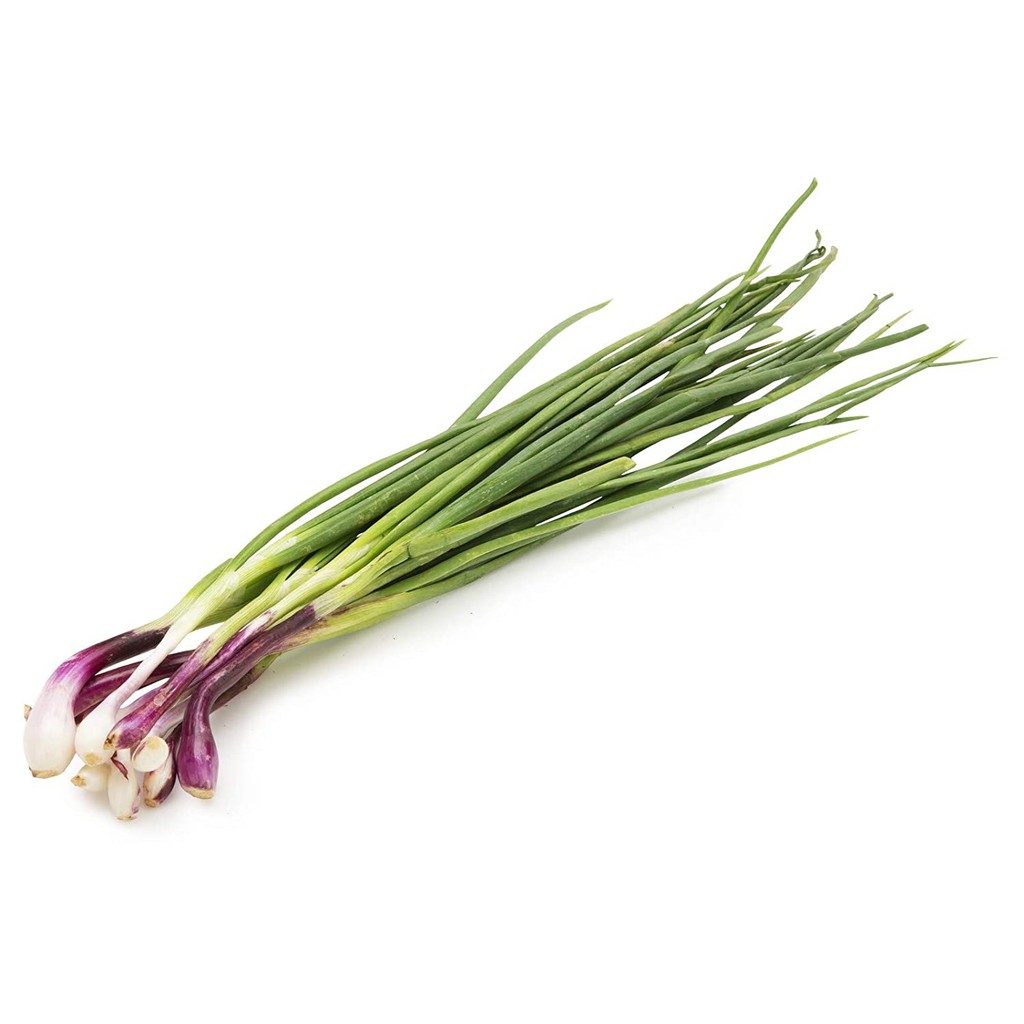 Jual SPRING ONION / 100GR | Shopee Indonesia